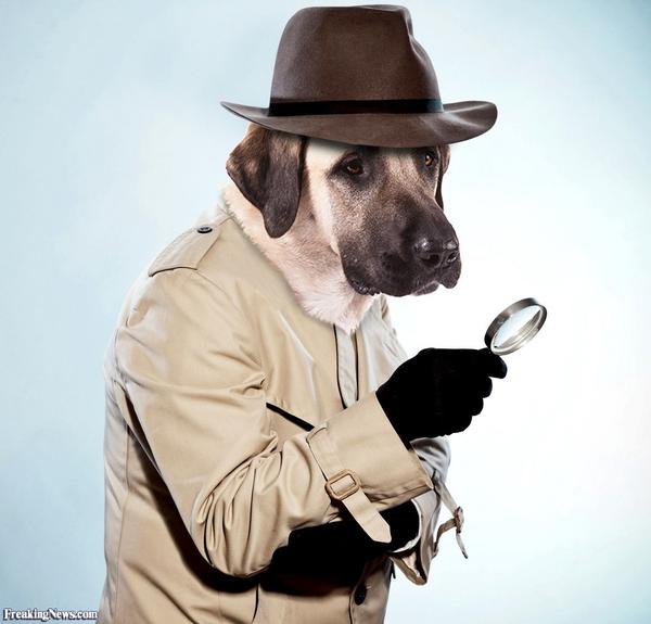detective-dog-125703.jpg