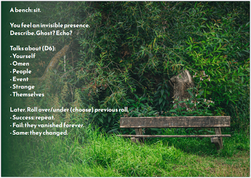 Old bench in a green lush